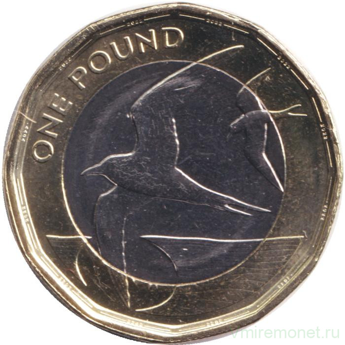 Монета. Острова Святой Елены и Вознесения. 1 фунт 2022 год.