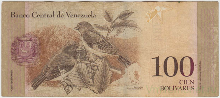 Банкнота. Венесуэла. 100 боливаров 2008 год. Тип 93b.