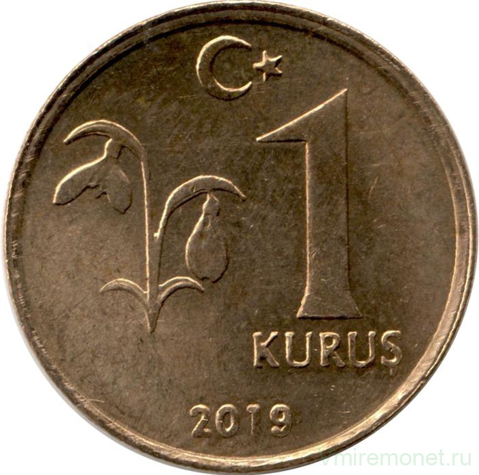 Монета. Турция. 1 куруш 2019 год.