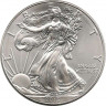 Аверс. Монета. США. 1 доллар 2013 год. Шагающая свобода.