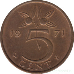 Монета. Нидерланды. 5 центов 1971 год.