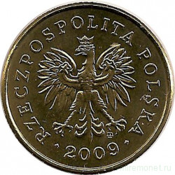 Монета. Польша. 5 грошей 2009 год.