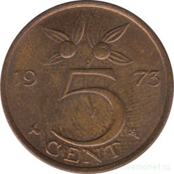 Монета. Нидерланды. 5 центов 1973 год.
