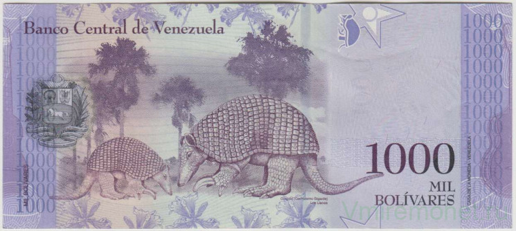 Банкнота. Венесуэла. 1000 боливаров 2016 год. Тип 95а.