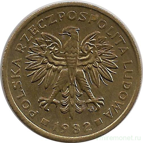 Zlote. 5 злотых 1984. Злотых 1982. Злотых 1982. Польша 1982.