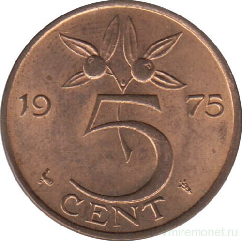 Монета. Нидерланды. 5 центов 1975 год.