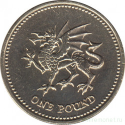 Монета. Великобритания. 1 фунт 1995 год.