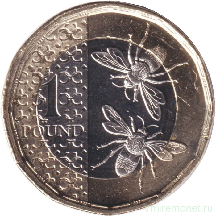 Монета. Великобритания. 1 фунт 2025 год.