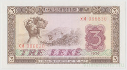 Банкнота. Албания. 3 лека 1976 год. Банкнота замещения.