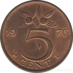 Монета. Нидерланды. 5 центов 1976 год.