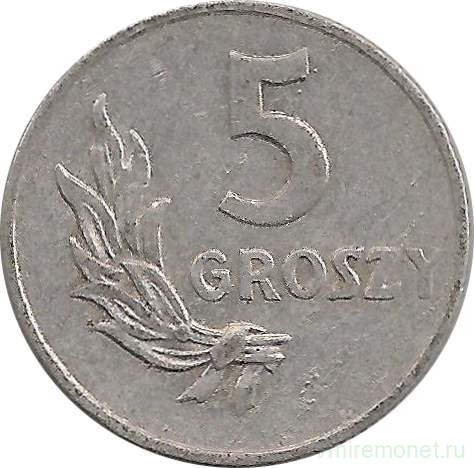 Монета. Польша. 5 грошей 1949 год. Алюминий.