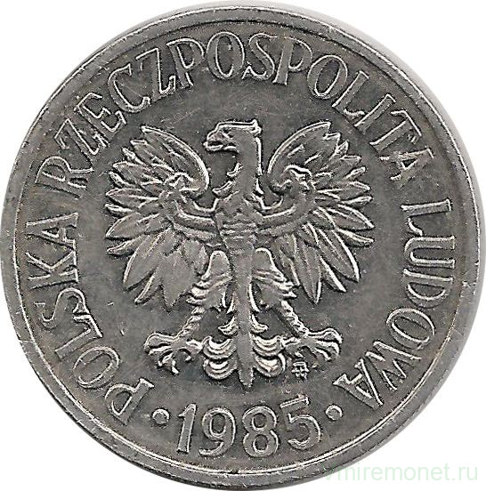 Монета. Польша. 50 грошей 1985 год.  