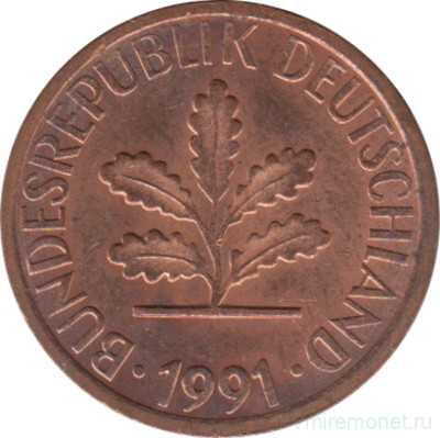 Монета. ФРГ. 1 пфенниг 1991 год. Монетный двор - Берлин (А).