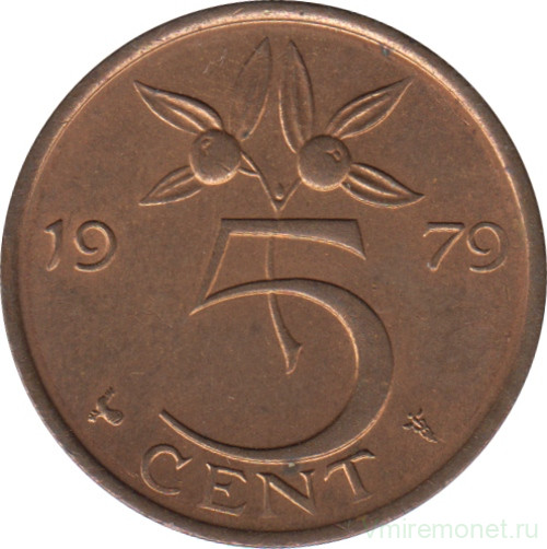 Монета. Нидерланды. 5 центов 1979 год.