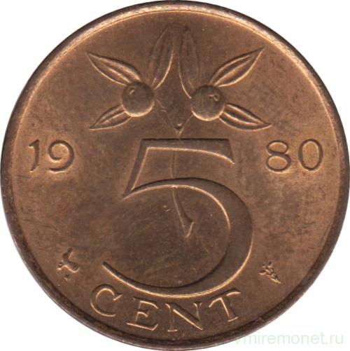 Монета. Нидерланды. 5 центов 1980 год.