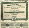 Акция. Франция. Париж. АО "Emalleries Réunies et forges de Creil et la Sarre". Акция на предъявителя в 100 франков 1924 год. ав.