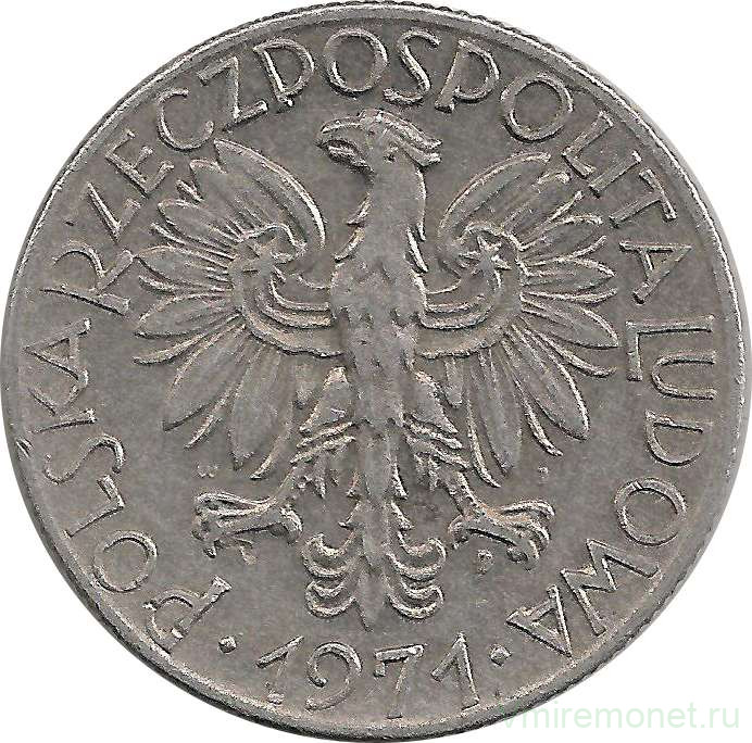 Монета. Польша. 5 злотых 1971 год.