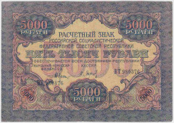 Банкнота. РСФСР.  5000 рублей 1919 год. (Крестинский - Барышев), в/з волны.