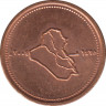 Монета. Ирак. 25 динар 2004 год. ав.