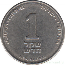 Монета. Израиль. 1 новый шекель 2007 (5767) год.