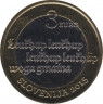 Монета. Словения. 3 евро 2015 год. 500 лет первому печатному тексту на словенском языке. рев.