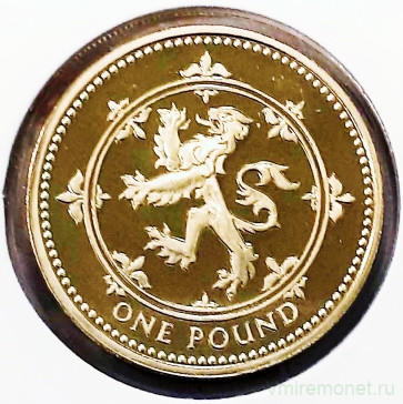 Монета. Великобритания. 1 фунт 1994 год. Пруф.