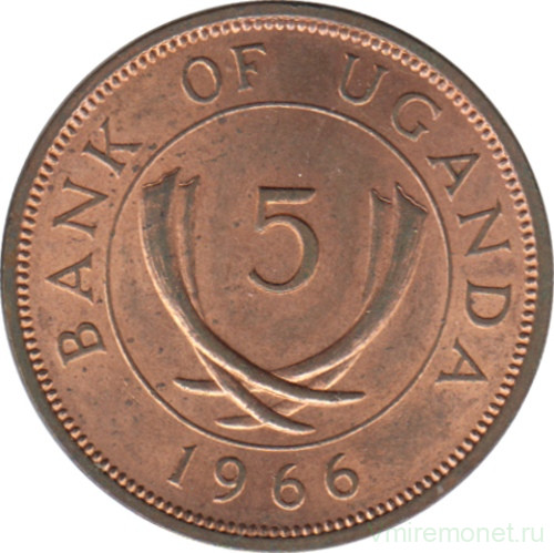 Монета. Уганда. 5 центов 1966 год.