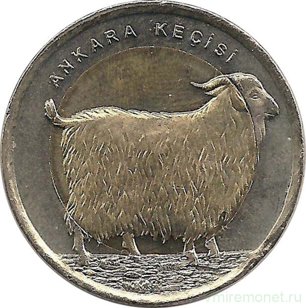 Монета. Турция. 1 лира 2015 год. Фауна Турции - Ангорская коза.